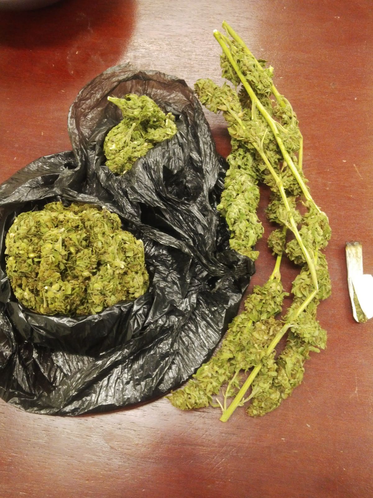Quantity of Marijuana seized on 17January 2017