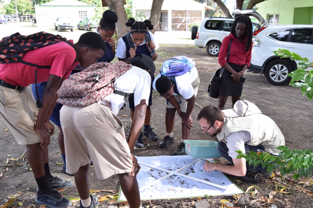 Students at Biodiversity Open Day