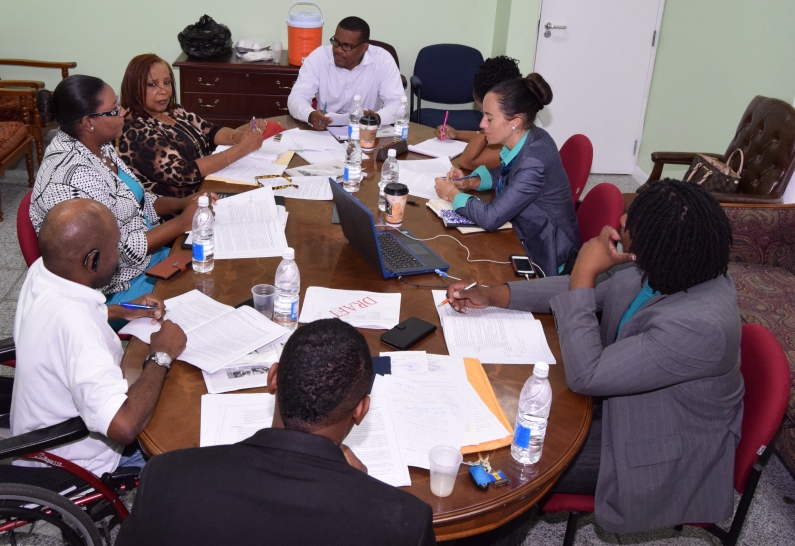 YOUTH POLICY INITIATIVE ENTERS FINAL STAGES Basseterre