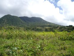 TEAM UNITY GOVERNMENT MOVING TO CREATE A PROPERTY OWNING SOCIETY