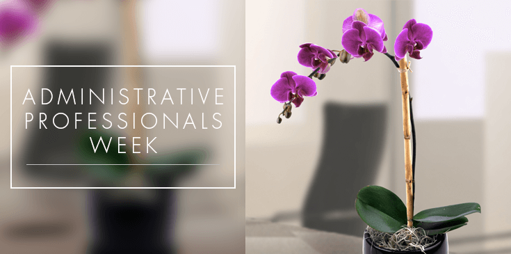 GOVERNMENT OF ST. KITTS AND NEVIS PROCLAIMS APRIL 22-28 AS ADMINISTRATIVE PROFESSIONALS WEEK AND APRIL 25 AS ADMINISTRATIVE PROFESSIONALS DAY