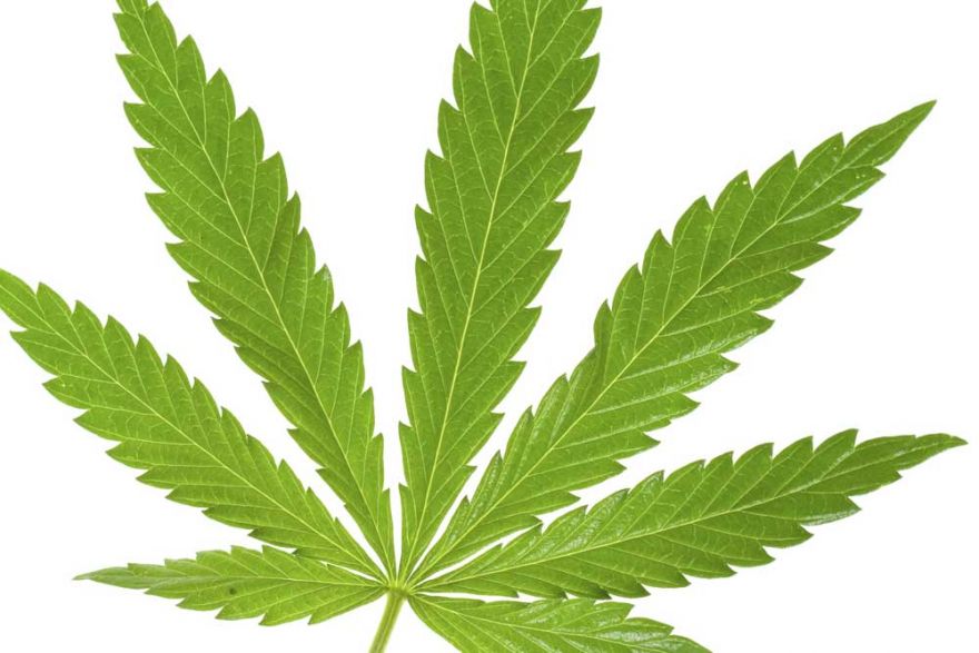 St. Kitts & Nevis Marijuana Commission