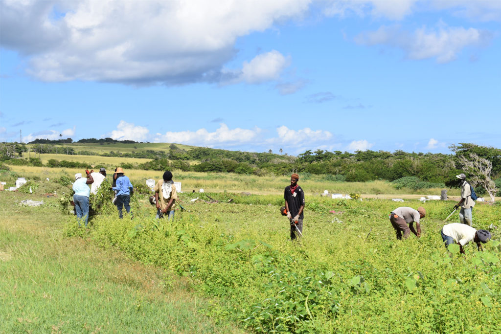 STEP Community clean-up groups are being empowered through hands-on training