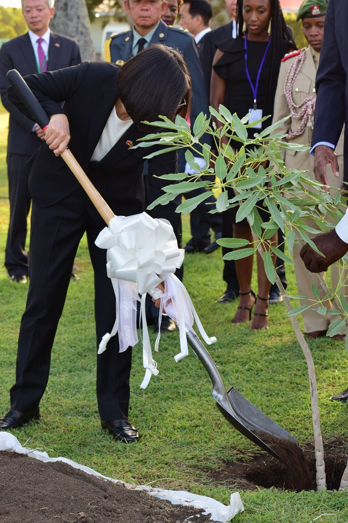 RELATIONSHIP BETWEEN ST. KITTS-NEVIS AND REPUBLIC OF CHINA (TAIWAN) TAKES ROOT AT GOVERNMENT HOUSE