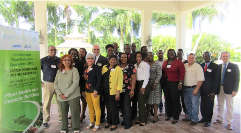 Caribbean countries discuss international standards on plant health and pest prevention