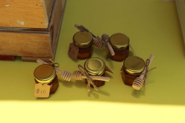 MINISTRY OF AGRICULTURE ABUZZ WITH DEVELOPING BEEKEEPING SECTOR SAYS MINISTER JEFFERS