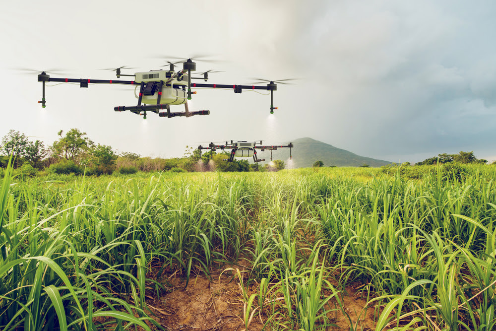 IICA to Conduct Live Drone Demonstrations with Draganfly and Bella Wings Aviation in The Bahamas