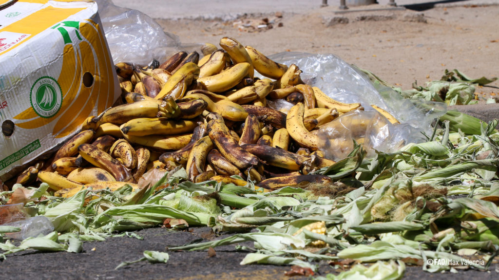 FAO commemorates International Food Loss and Waste Awareness Day with an important call to action