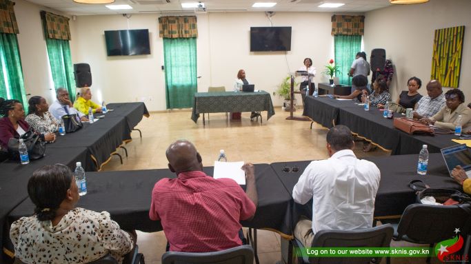 PAHO ASSISTING ST. KITTS AND NEVIS COMPLETE ITS NATIONAL STRATEGIC PLAN FOR COMBATING COMMUNICABLE DISEASES