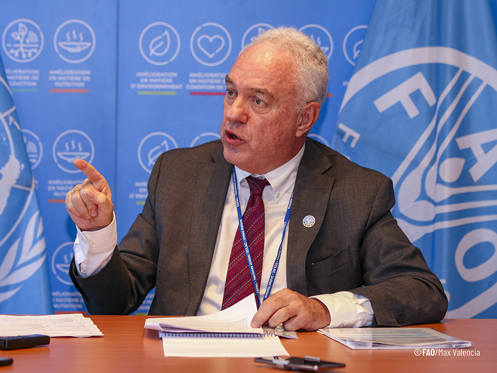 On the road to a sustainable Amazon