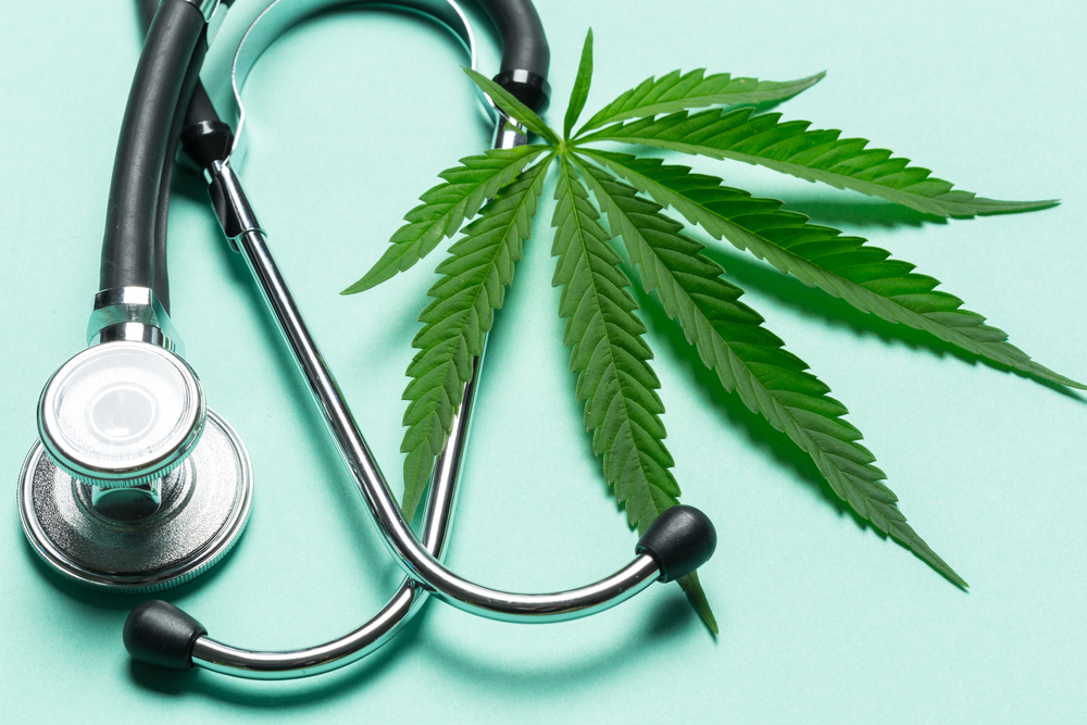 AS PLANS FOR THE LOCAL MEDICINAL CANNABIS INDUSTRY UNFOLD, GOVERNMENT MOVES TO OPERATIONALIZE MEDICAL CANNABIS AUTHORITY