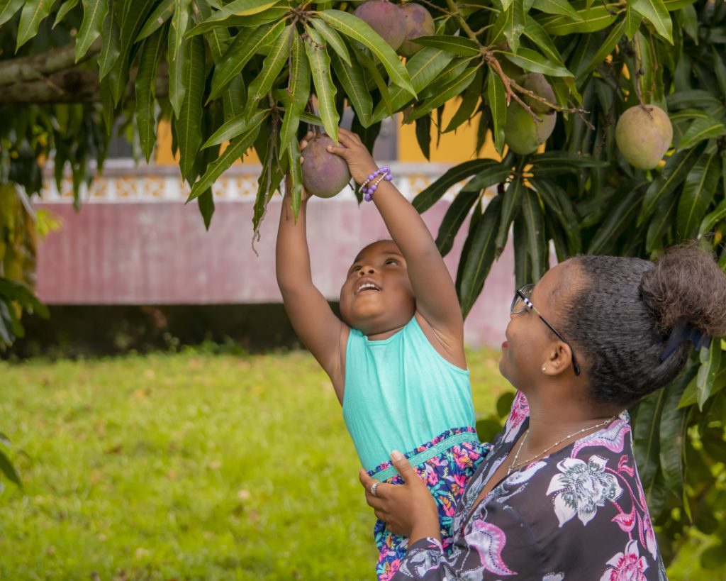 Caribbean food security at risk from the impact of disaster-related events