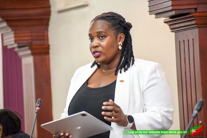 FINAL DRAFT OF NATIONAL PHYSICAL DEVELOPMENT PLAN TO BE PRESENTED TO CABINET IN SEPTEMBER 2023