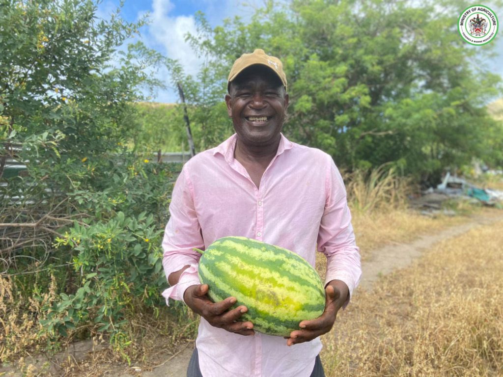 40-YEAR FARMING VETERAN GROWS WATERMELON FOR FIRST TIME NOTING INSPIRATION FROM 25 BY 25 AGENDA