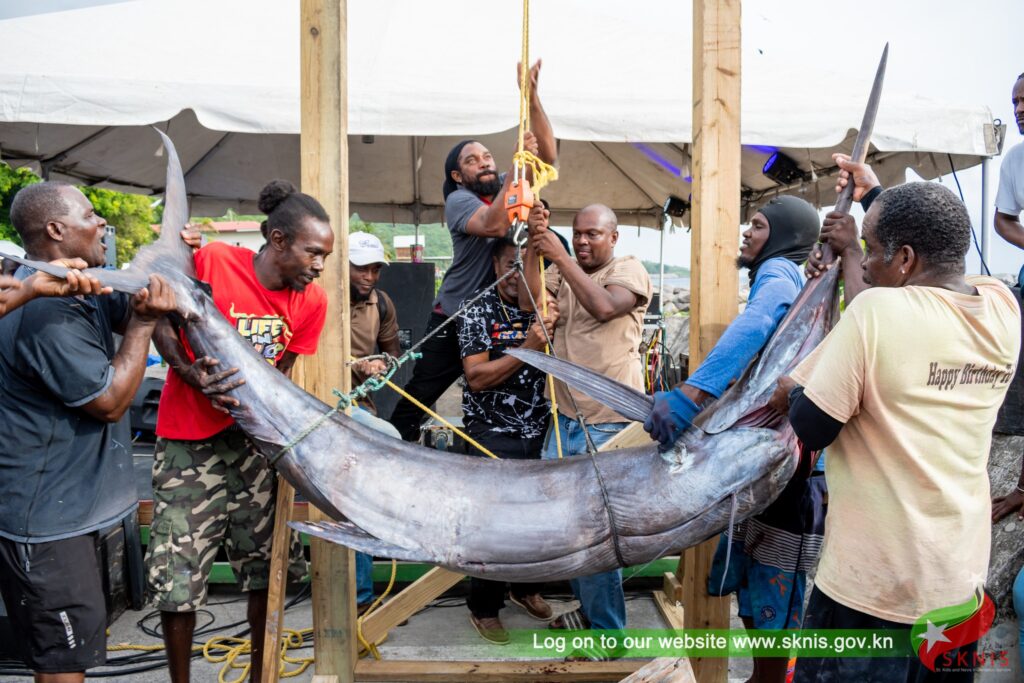 ST. KITTS AND NEVIS FISHERIES SECTOR SEES RECORD-BREAKING REVENUE GROWTH IN 2024 UNDER MINISTER’S VISIONARY LEADERSHIP