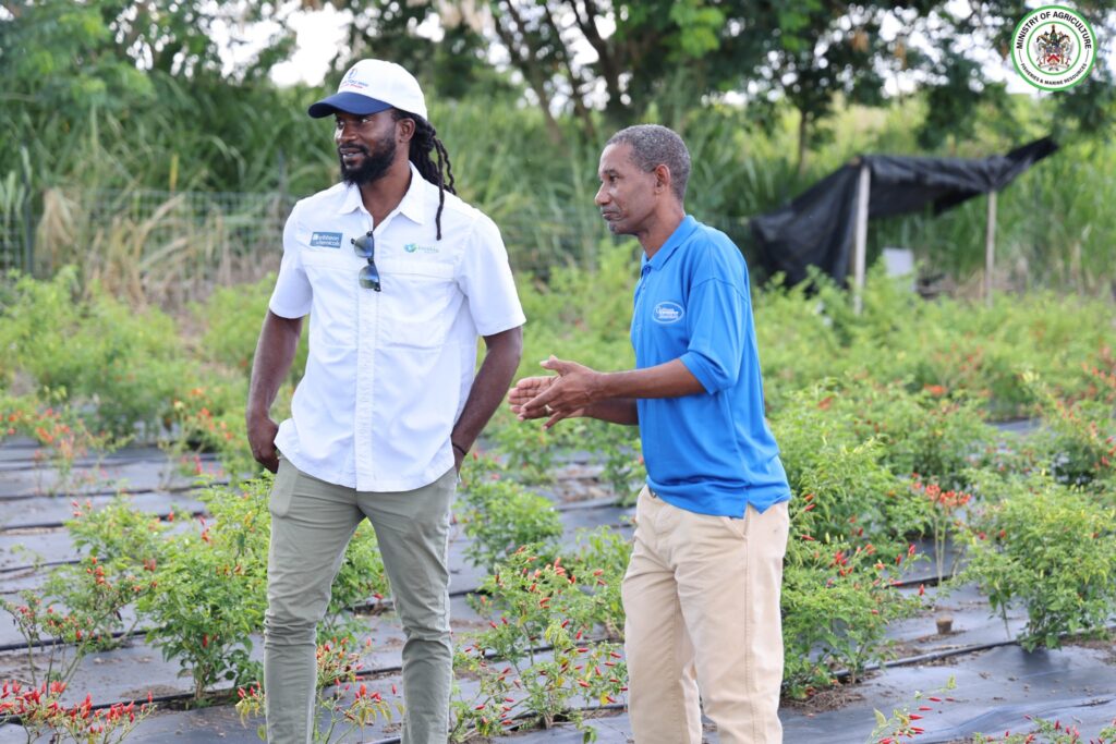 ST. KITTS DEPARTMENT OF AGRICULTURE PROMOTES ECO-FRIENDLY FARMING SOLUTIONS AT FIELD SEMINAR