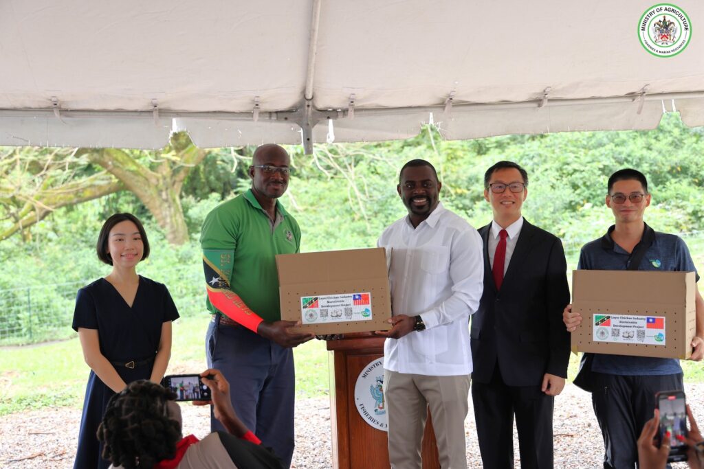 CENTRAL SCHOOL FARM RECEIVES FIRST LOCALLY PRODUCED LAYER CHICKS TO BOOST STUDENT NUTRITION IN ST. KITTS