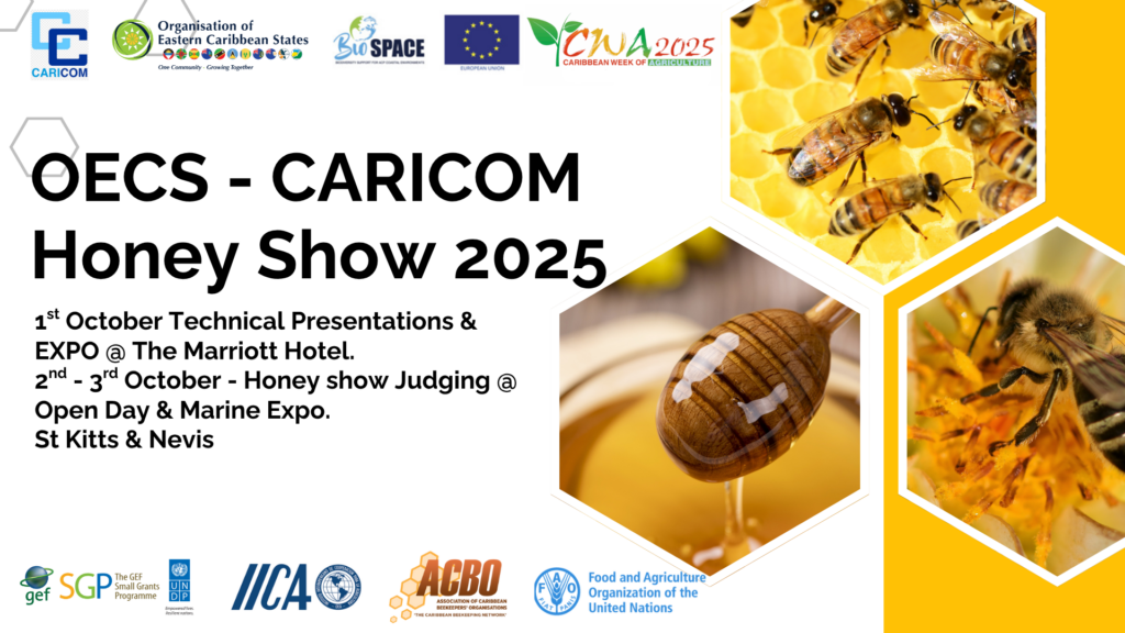 Landmark OECS Apiculture Policy to Launch at CWA 2025 in St. Kitts and Nevis